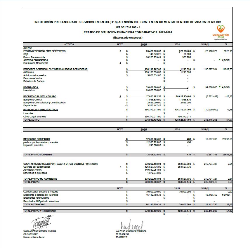 Estado financiero Sentido de Vida IPS CAD — parte izquierda